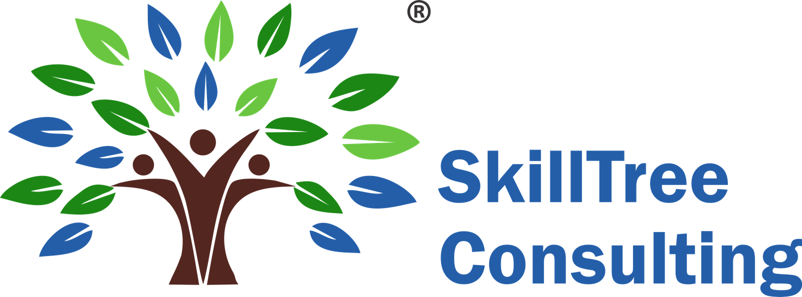 SkillTree Consulting